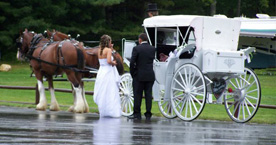 Horsedrawn Carriage